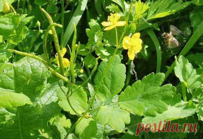 Ухоженная внешность, отражение любви к себе.