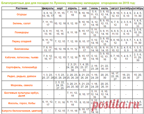 Когда сажать перцы на рассаду в 2019 году по лунному календарю