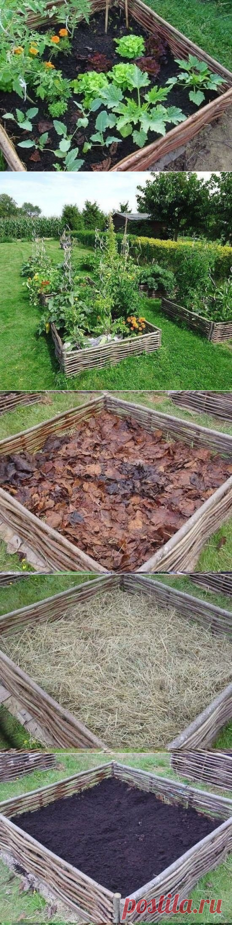 Вариант приподнятой грядки