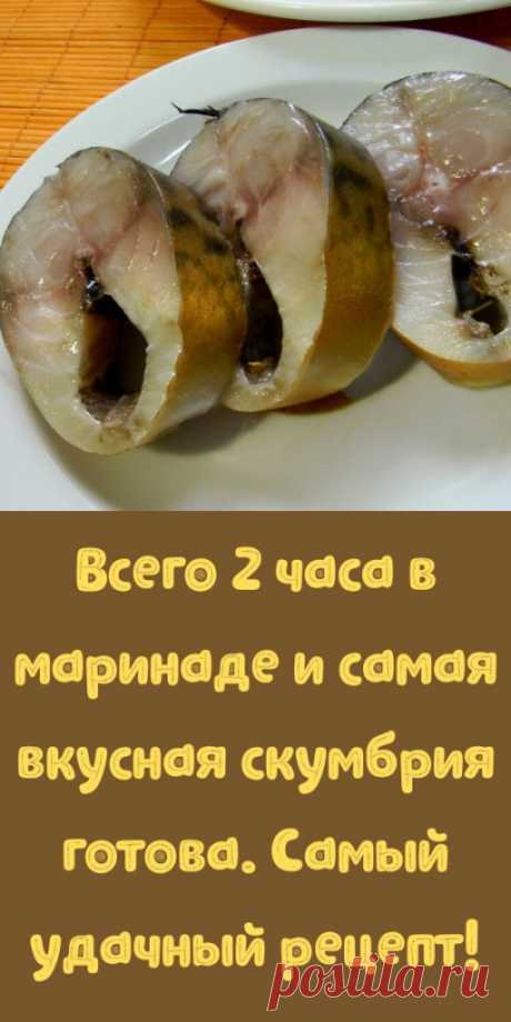 Всего 2 часа в маринаде и самая вкусная скумбрия готова. Самый удачный рецепт! - My izumrud