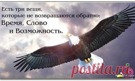 Три вещи никогда не возвращаются обратно- Время, Слово, Возможность. Поэтому не теряй времени, выбирай слова, не упускай возможность!
