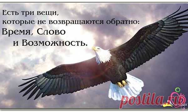 Три вещи никогда не возвращаются обратно- Время, Слово, Возможность. Поэтому не теряй времени, выбирай слова, не упускай возможность!