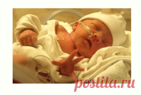 Caring for premature babies