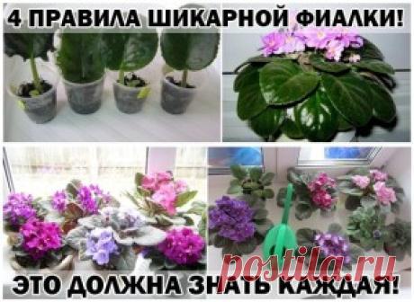 Полезно знать