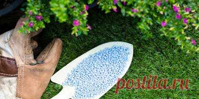 Минеральные удобрения для дачи - посадка и выращивание растений