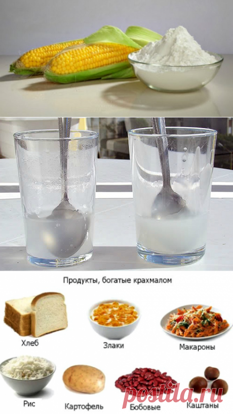 Кукурузный крахмал: вред и польза для организма, применение. Кукурузный крахмал: вред и польза. Что такое крахмал, его калорийность и химический состав. Чем отличается кукурузный крахмал от картофельного.