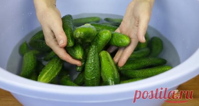 Огурцы на 1 литровую банку - Лучший сайт кулинарии