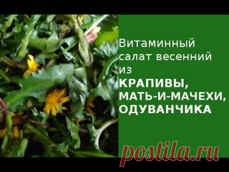 Витаминный салат из одуванчиков, крапивы и мать-и-мачехи и VLOG первые цветы на даче -