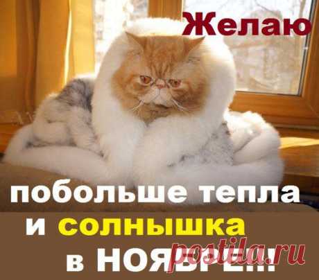 пожелание