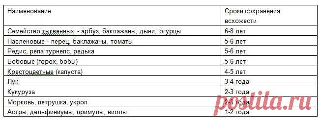 Села разбирать старые семена и нашла просроченные. Выбрасывать не буду, расскажу, что буду с ними делать | Сибирский сад | Яндекс Дзен