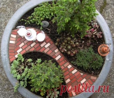 Создание мини-садов своими руками в горшках