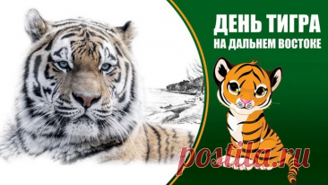 Картинки с Международным днем тигра