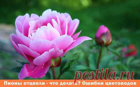 (10) Одноклассники