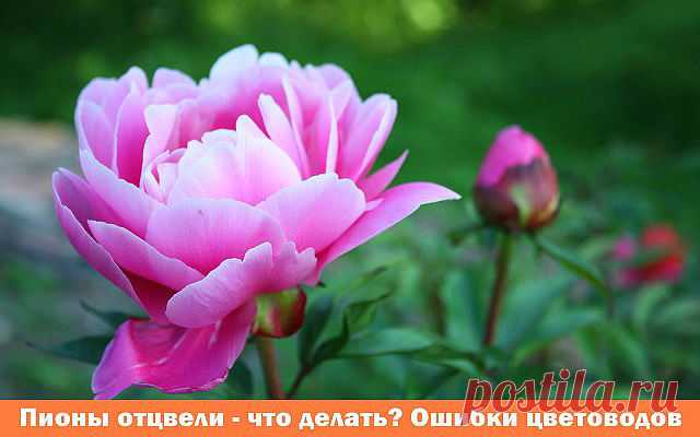 (10) Одноклассники