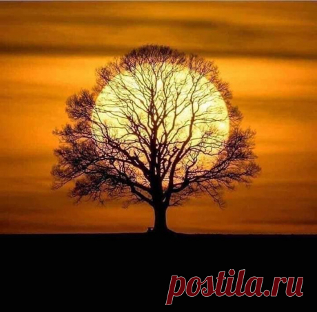 А что такое вдохновенье?
— Так... Неожиданно, слегка
Сияющее дуновенье
Божественного ветерка...

Иванов Г.