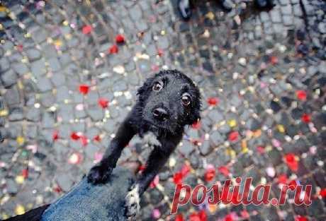 Мой Мир@Mail.Ru