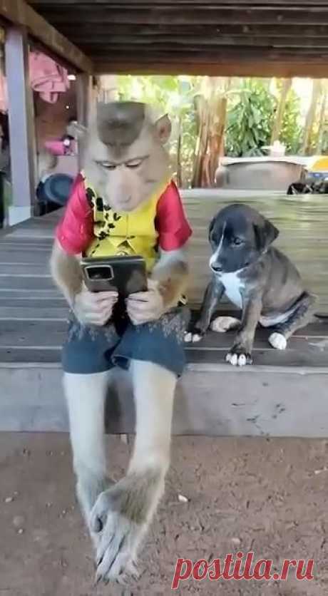 Друзья (см. видео) 🥰