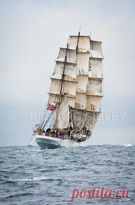 Альбом 19 «Галерея 19« Tall Ship расы