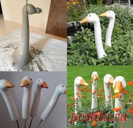 Гусиные головы в кустах