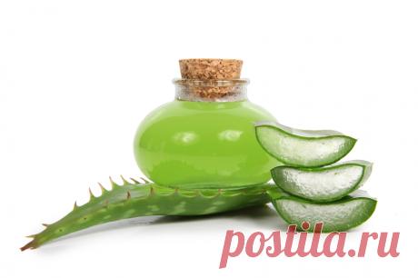 Потрясающие результаты с натуральным кремом Алоэ Вера - Советы на каждый день