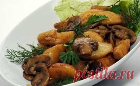 Свинина, тушенная с грибами и картофелем
Мясо с грибами и картошкой — что может быть лучше на ужин?