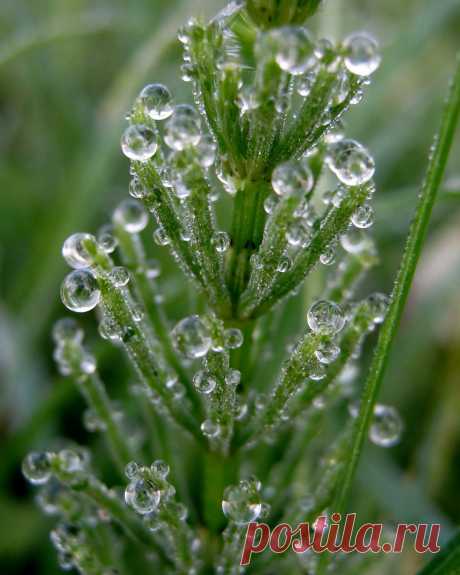 h-1390.jpg (1638×2048)