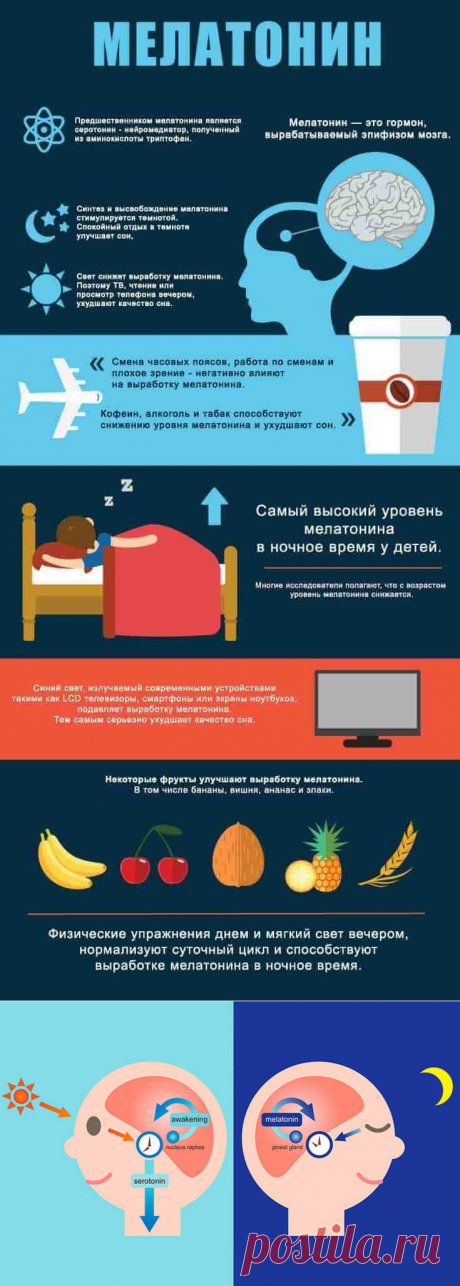 11 полезных свойств гормона сна. Мелатонин / Будьте здоровы