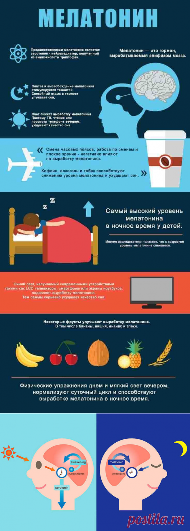 11 полезных свойств гормона сна. Мелатонин / Будьте здоровы