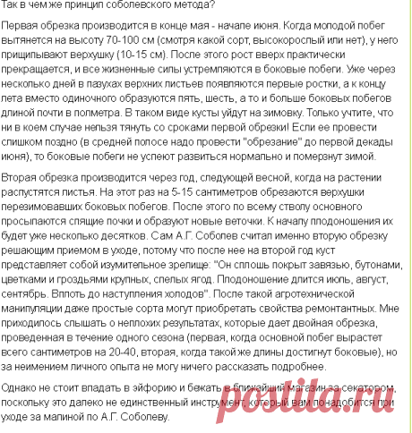 Ягодное королевство | Fermer.Ru - Фермер.Ру - Главный фермерский портал - все о бизнесе в сельском хозяйстве. Форум фермеров.