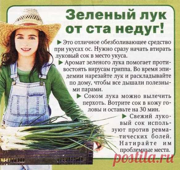 Лук зеленый - польза