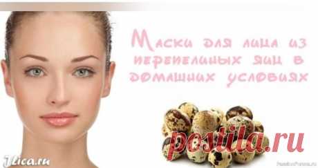 ​Перепелиные яйца спасут кожу от старости &nbsp;ТОП &mdash; 4 ЭФФЕКТИВНЫХ МАСОК ..* Маски для жирной кожи - Белок яйца нанести на кожу, не взбивая. Дать подсохнуть, нанести еще один слой и так несколько раз. Оставить на 15 минут и смыть холодной водой - 1 белок взбить с 1 ч.л лимонного сока. Нанести слоями поочередно ,давая...