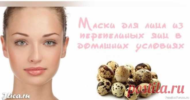 ​Перепелиные яйца спасут кожу от старости  ТОП — 4 ЭФФЕКТИВНЫХ МАСОК ..* Маски для жирной кожи - Белок яйца нанести на кожу, не взбивая. Дать подсохнуть, нанести еще один слой и так несколько раз. Оставить на 15 минут и смыть холодной водой - 1 белок взбить с 1 ч.л лимонного сока. Нанести слоями поочередно ,давая...
