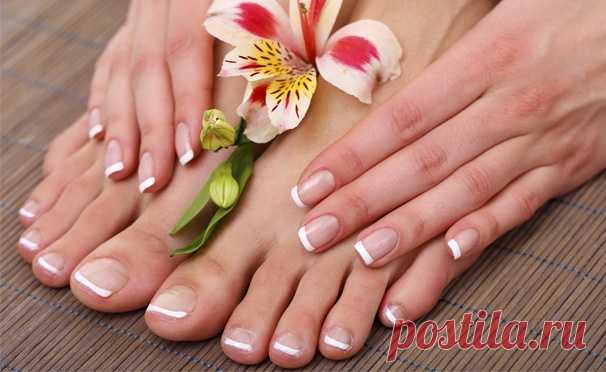 классика) френч