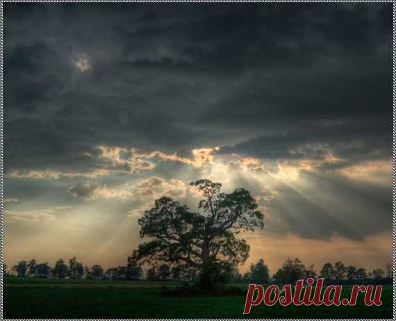 Александр Ямцов. Что даёшь - то и возьмёшь