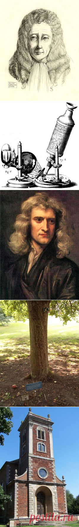 Роберт Гук против Исаака Ньютона. Кто автор теории всемирного тяготения? | Биографии