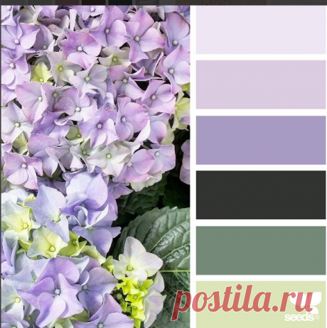 jessica colaluca (@designseeds) • Фото и видео в Instagram