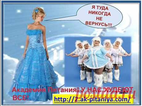 В Академии Питания худеют ВСЕ!!!