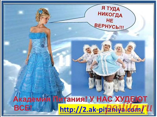 В Академии Питания худеют ВСЕ!!!