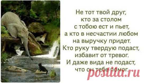 (63) Одноклассники