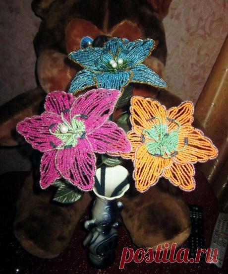 Обновления