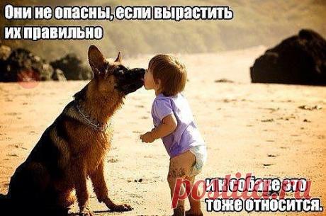 Так оно и есть