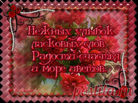 Радуйся чуду, по имени Жизнь! .