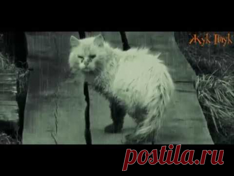 Уродливый Кот. Стихотворение