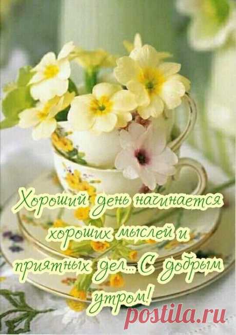 Как спастись ?