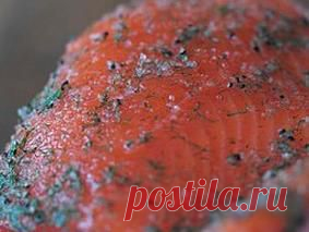 Вкусные рецепты
