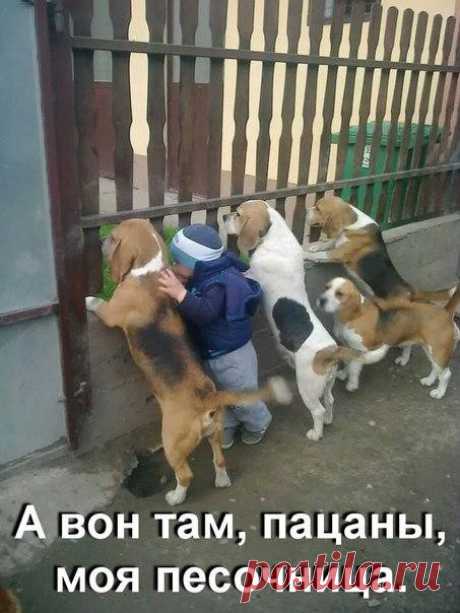 Смешные картинки для отличного настроения!