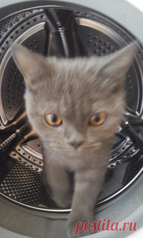 К полету на "на Альфа-Центавру готов"