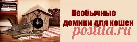 Публикация: Необычные домики для кошек | Сообщество «Кошарня»
