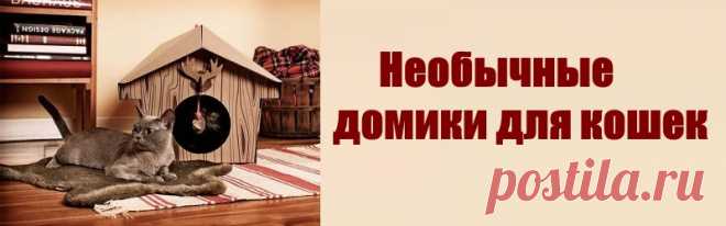 Публикация: Необычные домики для кошек | Сообщество «Кошарня»
