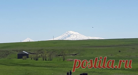 Հայոց հսկաների`ԱՐԱՐԱՏԻ եւ ԱՐԱԳԱԾԻ հովանու ներքո🌼
: Գործընկերներիս հետ ոչ միայն հաճելի ժամանակ անցկացրինք,այլև հիշողության գիրկն ուղարկվող գեղեցիկ լուսանկարներ ունեցանք մայիսյան ծաղկունք ապրող հայրենի Ապարանիս գեղատեսիլ բնաշխարհի գրկում`բիբլիական հաոց լեռների վեհաշուք տեսքով զմայլված.....








Հայոց հսկաների`ԱՐԱՐԱՏԻ եւ ԱՐԱԳԱԾԻ հովանու ներքո🌼
Ծանրաբեռնված ու հոգնեցուցիչ աշխատանխային խորհրդակցու